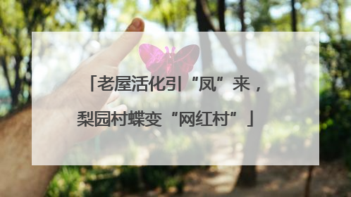 老屋活化引“凤”来，梨园村蝶变“网红村”