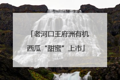 老河口王府洲有机西瓜“甜蜜”上市