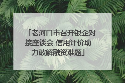 老河口市召开银企对接座谈会 信用评价助力破解融资难题