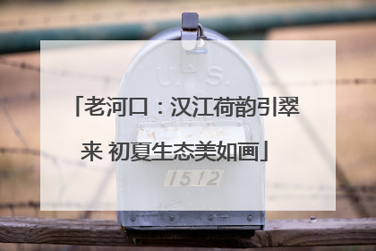 老河口：汉江荷韵引翠来 初夏生态美如画