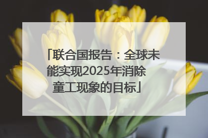 联合国报告：全球未能实现2025年消除童工现象的目标