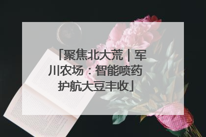 聚焦北大荒|军川农场:智能喷药护航大豆丰收
