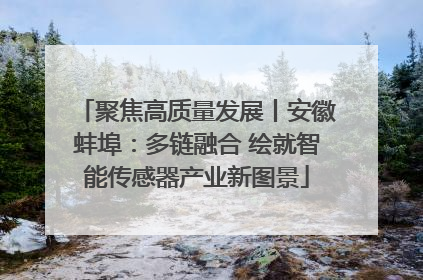 聚焦高质量发展丨安徽蚌埠：多链融合 绘就智能传感器产业新图景