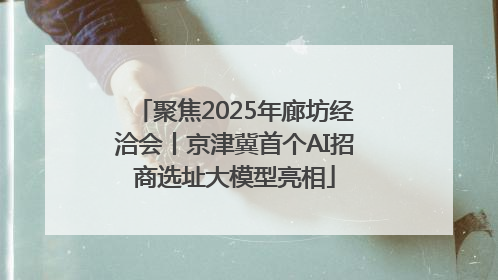 聚焦2025年廊坊经洽会丨京津冀首个AI招商选址大模型亮相