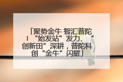 聚势金牛 智汇普陀〡“始发站”发力、“创新田”深耕，普陀科创“金牛”闪耀
