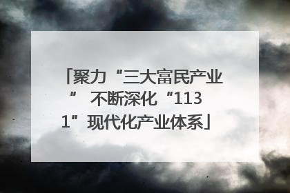 聚力“三大富民产业” 不断深化“1131”现代化产业体系