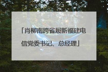 肖柳南跨省履新福建电信党委书记、总经理