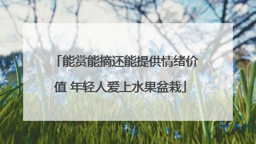 能赏能摘还能提供情绪价值 年轻人爱上水果盆栽