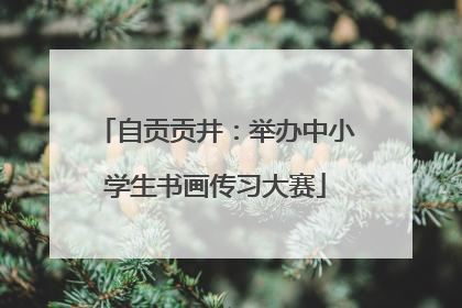 自贡贡井：举办中小学生书画传习大赛