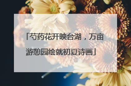 芍药花开映台湖，万亩游憩园绘就初夏诗画