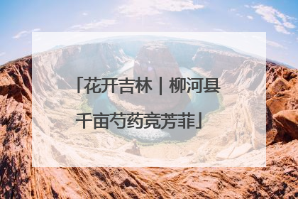 花开吉林｜柳河县千亩芍药竞芳菲