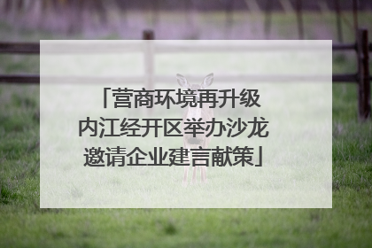 营商环境再升级 内江经开区举办沙龙邀请企业建言献策