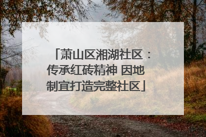 萧山区湘湖社区：传承红砖精神 因地制宜打造完整社区