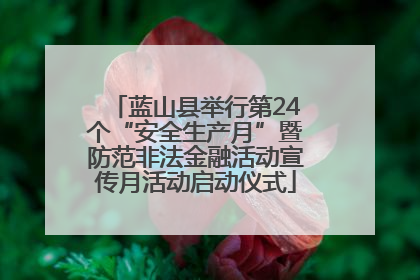 蓝山县举行第24个“安全生产月”暨防范非法金融活动宣传月活动启动仪式