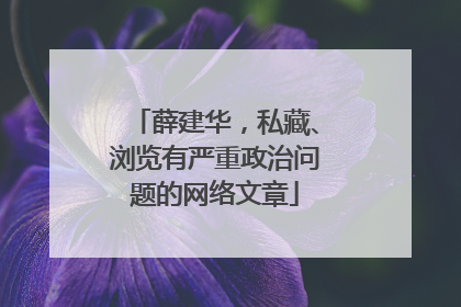 薛建华，私藏、浏览有严重政治问题的网络文章