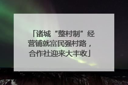 诸城“整村制”经营铺就富民强村路，合作社迎来大丰收