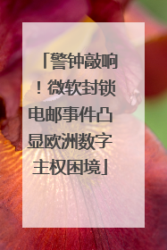 警钟敲响！微软封锁电邮事件凸显欧洲数字主权困境