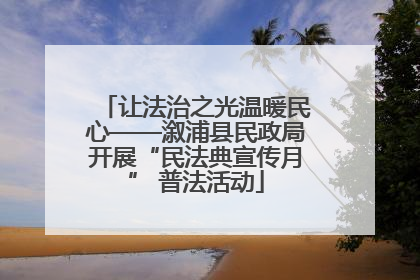 让法治之光温暖民心——溆浦县民政局开展“民法典宣传月” 普法活动
