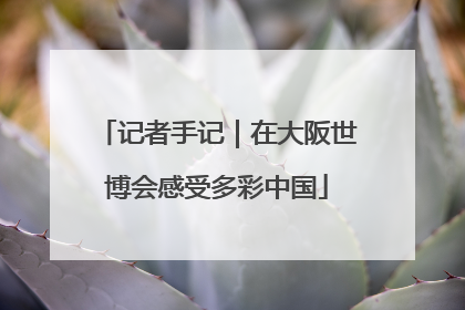 记者手记｜在大阪世博会感受多彩中国