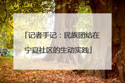 记者手记：民族团结在宁夏社区的生动实践