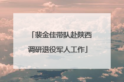 裴金佳带队赴陕西调研退役军人工作