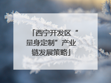 西宁开发区“量身定制”产业链发展策略