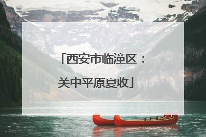 西安市临潼区：关中平原夏收
