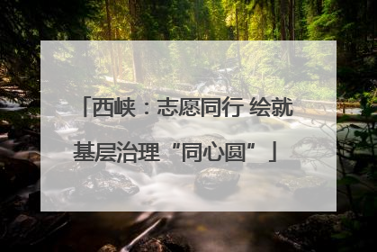 西峡：志愿同行 绘就基层治理“同心圆”