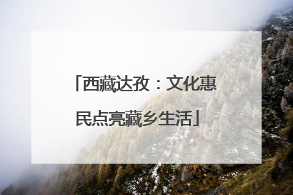 西藏达孜：文化惠民点亮藏乡生活