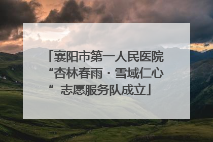 襄阳市第一人民医院“杏林春雨・雪域仁心”志愿服务队成立