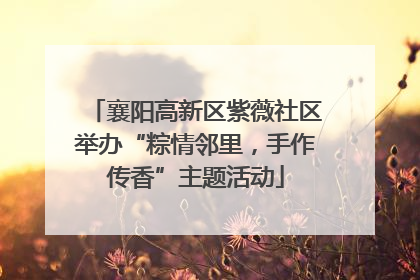 襄阳高新区紫薇社区举办“粽情邻里，手作传香”主题活动