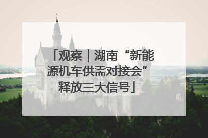 观察｜湖南“新能源机车供需对接会”释放三大信号