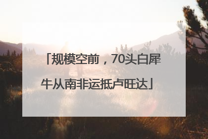规模空前，70头白犀牛从南非运抵卢旺达