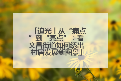 追光丨从“痛点”到“亮点”：看文昌街道如何绣出村居发展新图景