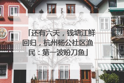 还有六天，钱塘江鲜回归，杭州杨公社区渔民：第一波盼刀鱼
