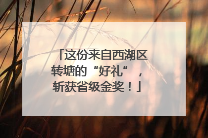 这份来自西湖区转塘的“好礼”，斩获省级金奖！