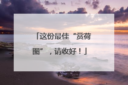 这份最佳“赏荷图”，请收好！