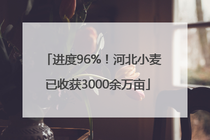 进度96%！河北小麦已收获3000余万亩