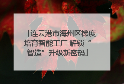 连云港市海州区梯度培育智能工厂 解锁“智造”升级新密码