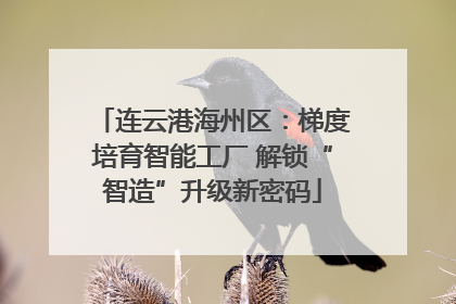 连云港海州区：梯度培育智能工厂 解锁“智造”升级新密码