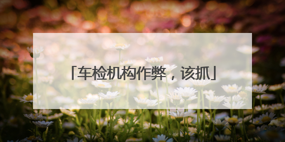 车检机构作弊，该抓