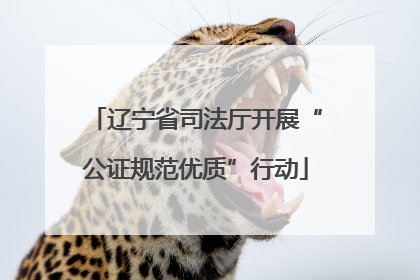 辽宁省司法厅开展“公证规范优质”行动