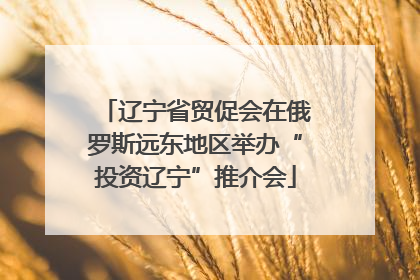 辽宁省贸促会在俄罗斯远东地区举办“投资辽宁”推介会