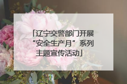 辽宁交警部门开展“安全生产月”系列主题宣传活动