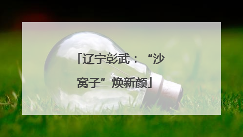 辽宁彰武：“沙窝子”焕新颜