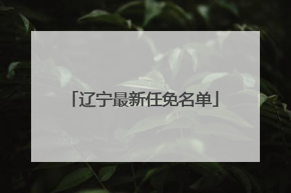 辽宁最新任免名单