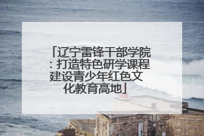 辽宁雷锋干部学院：打造特色研学课程 建设青少年红色文化教育高地