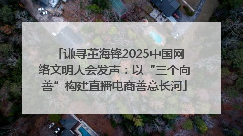 谦寻董海锋2025中国网络文明大会发声：以“三个向善”构建直播电商善意长河