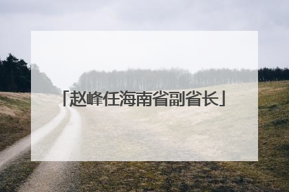 赵峰任海南省副省长
