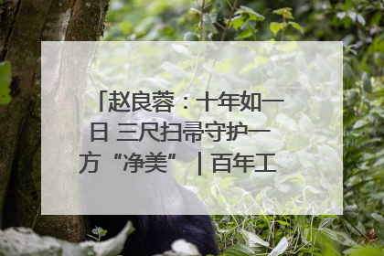 赵良蓉：十年如一日 三尺扫帚守护一方“净美”｜百年工运·劳模说